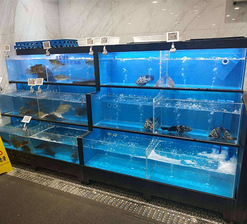 武漢定做魚缸