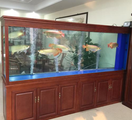 武漢定做魚缸
