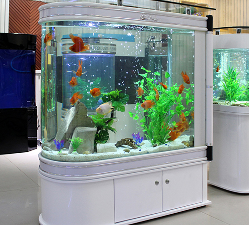 武漢定做魚缸