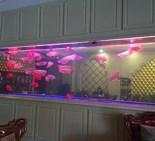 武漢定做魚缸