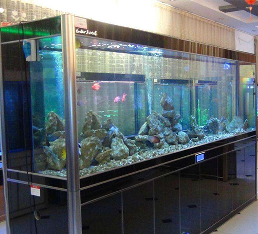 武漢定做魚缸