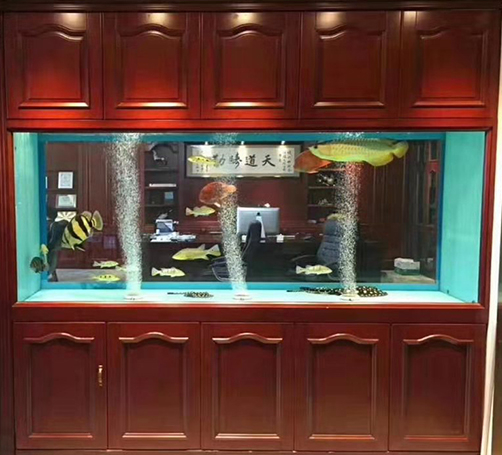 武漢定做魚缸